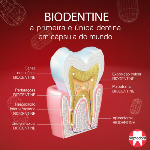 Cimento Biodentine