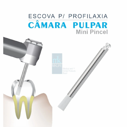 Escova mini para profilaxia