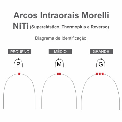 Arco Intraoral NiTi Superelástico Médio Quadrado/Retangular c/10 - Morelli